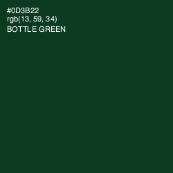 #0D3B22 - Bottle Green Color Image